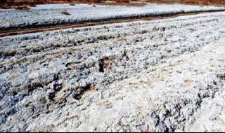 盐碱地改良方法 盐碱地改良方法