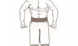 掌心三寸是人间陈明 掌心三寸是人间陈明