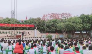 为了自己的梦想作文 为了自己的梦想作文