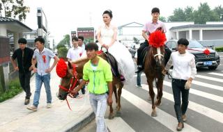 新倒插门女婿大结局